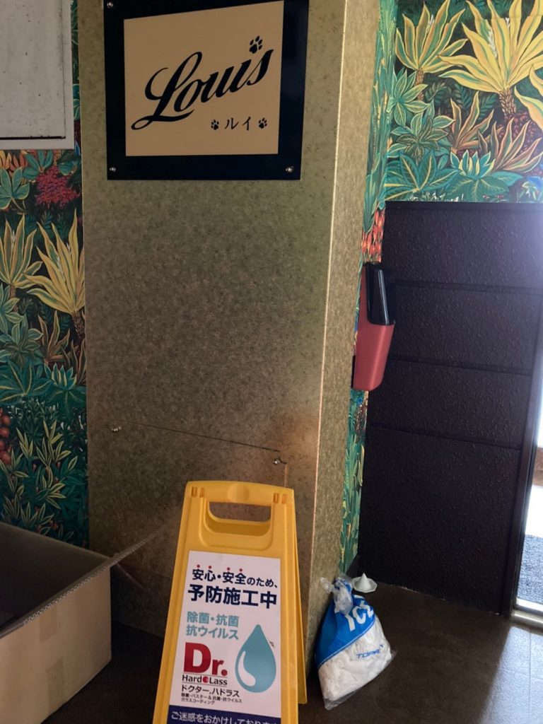 ブルーフィールド_沖縄抗菌＿読谷村_カフェ ルイ
