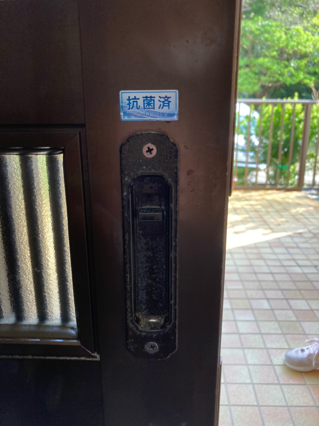 抗菌沖縄_ブルーフィールド